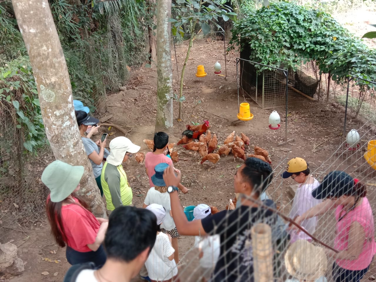 Cultural Exchange Green Camp Bali I At Green School Bali